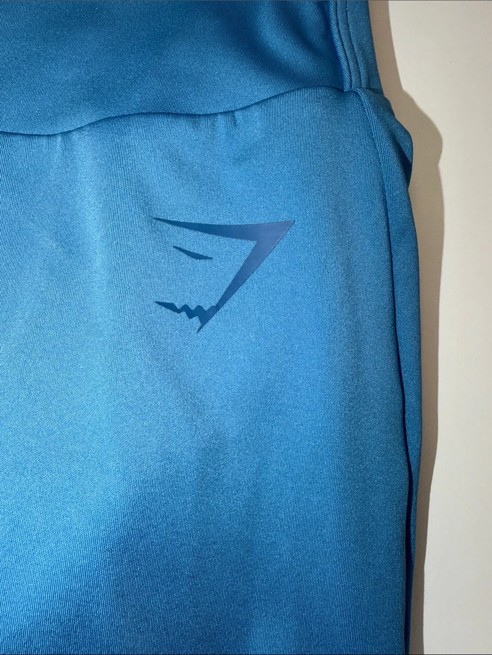 Gymshark Blue Performance Leggings